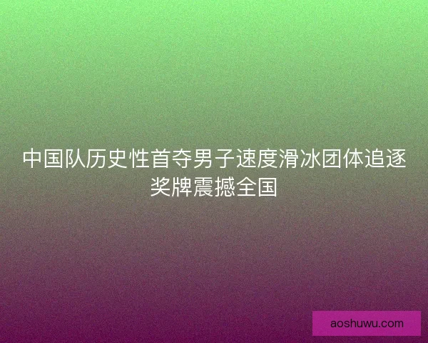 中国队历史性首夺男子速度滑冰团体追逐奖牌震撼全国